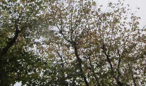 Cooperación y Desarrollo