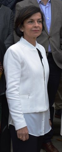 Galovart (PSOE) aspira a "tres escaños" en Pontevedra