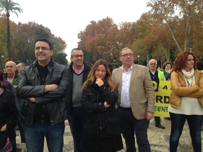 Representantes del PSOE en manifestación contra Ley Mordaza en Sevilla