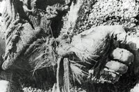 ¿Qué eran los 'vuelos de la muerte' de la dictadura argentina?