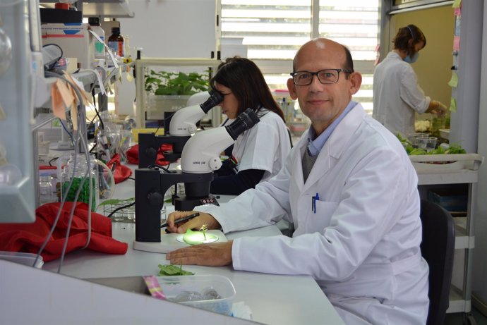 El Catedrático De Producción Vegetal De La UPCT, Pablo Bielza, Nuevo Presidente 
