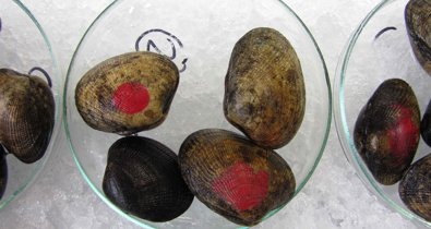 Es Andalucía - Sevilla