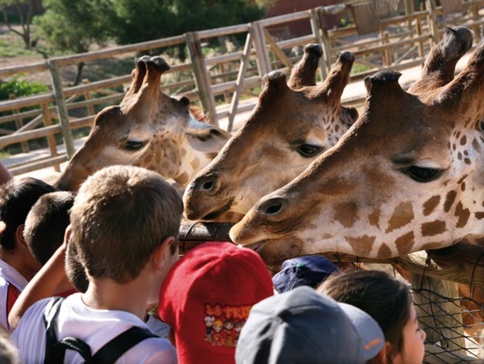 NOTA DE PRENSA // Terra Natura Y La Universidad De Murcia Recogerán Alimentos Y 