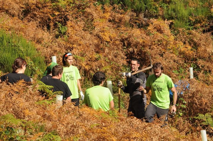 Plantación de árboles por parte de la Fundación Oso Pardo