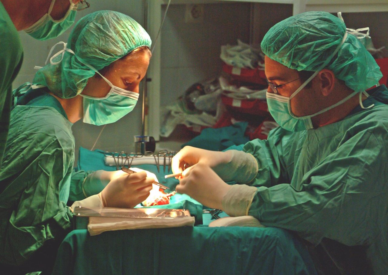 Profesinales de salud y justicia analizan la normativa de trasplantes
