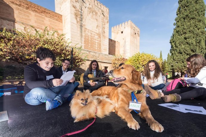 Actividad 'A cuatro patas' para la Navidad en la Alhambra.
