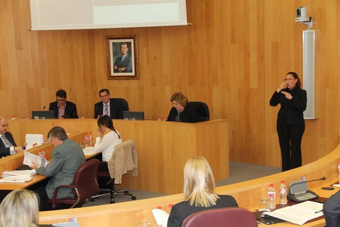 Una intérprete de lengua de signos en el pleno de la Diputación provincial.