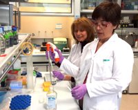 Relacionan una alteración en genes y factores ambientales con la esclerosis