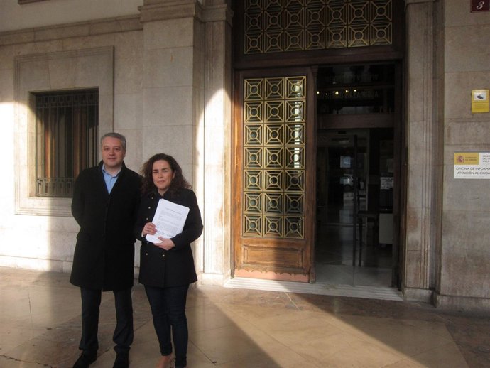 Arráiz y Díez Cámara, ante la Delegación del Gobierno