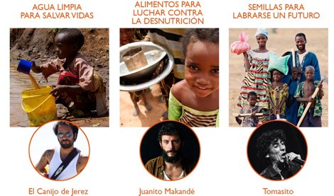 Cooperación y Desarrollo