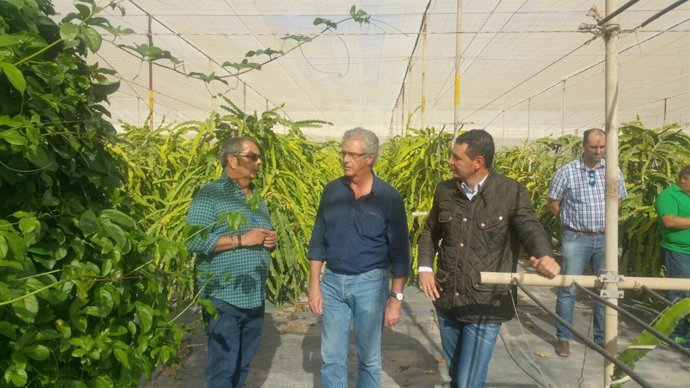 Pablo Matos en Arico