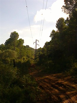 Línea de Endesa en el Parc del Montgrí