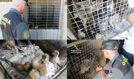 Cooperación y Desarrollo