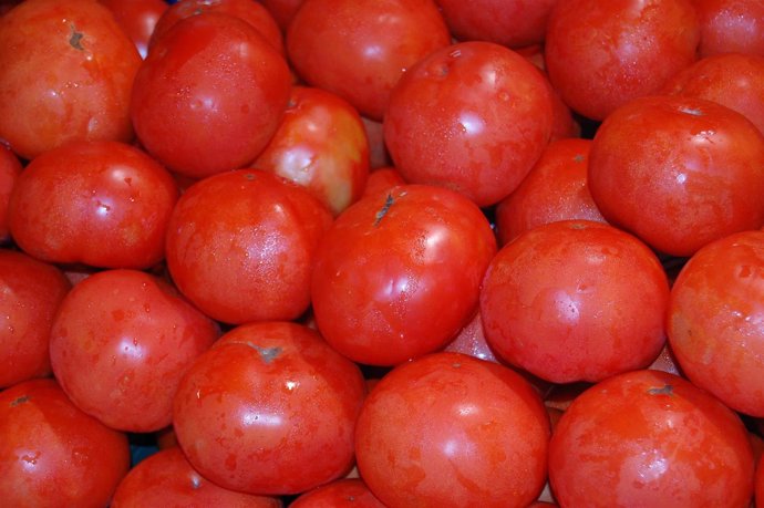 Aumentan un 15% la vitamina C del tomate a través de un gen de la fresa