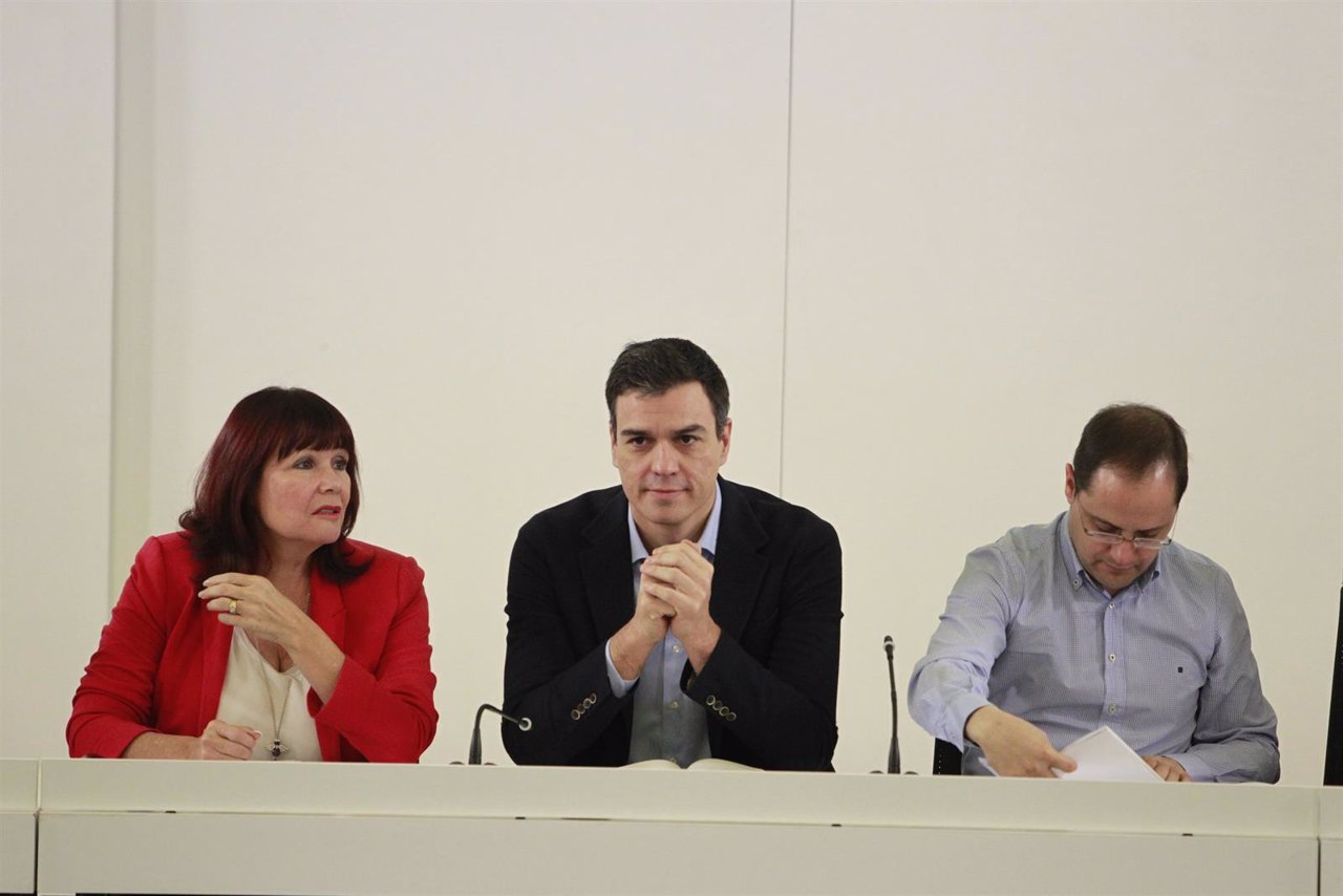Pedro Sánchez preside la Ejecutiva Federal del PSOE