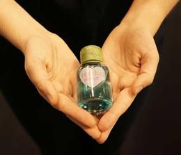 Animikados
