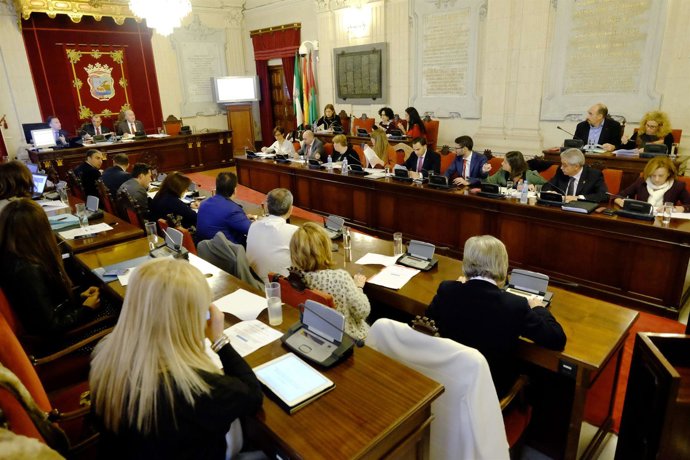 Pleno del Ayuntamiento de Málaga diciembre 2015