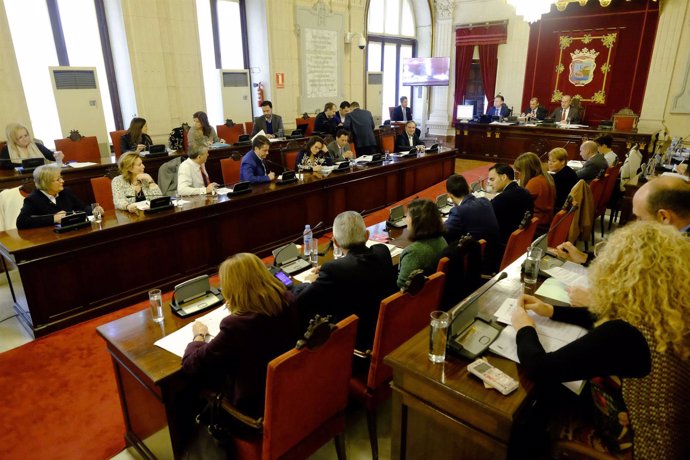 Pleno del Ayuntamiento de Málaga diciembre 2015