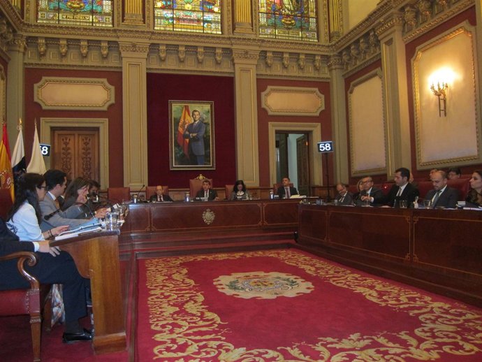 Pleno del Ayuntamiento de Santa Cruz