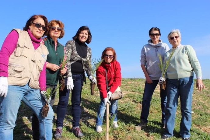 Voluntarios de la Fundación Cajasol reforestan una parcela en Marismas del Odiel