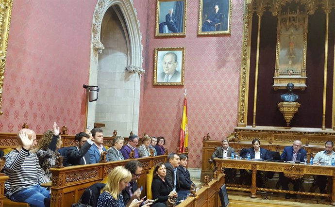 Pi en el Consell de Mallorca