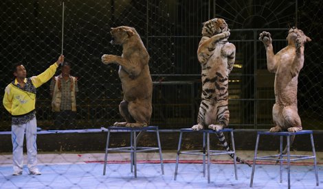 Cooperación y Desarrollo