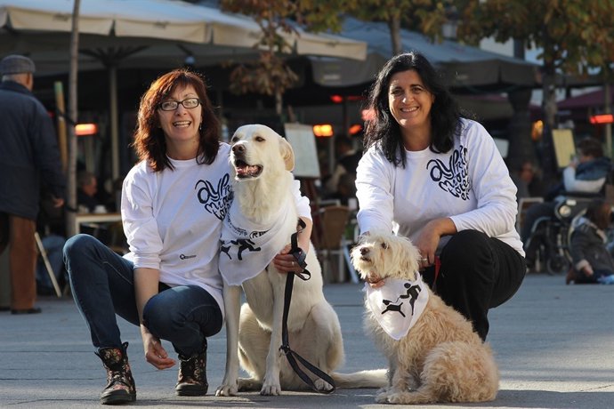 Convocatoria Sanperrestre De El Refugio. Miércoles 30 Diciembre. 10:30 H. Plaza 