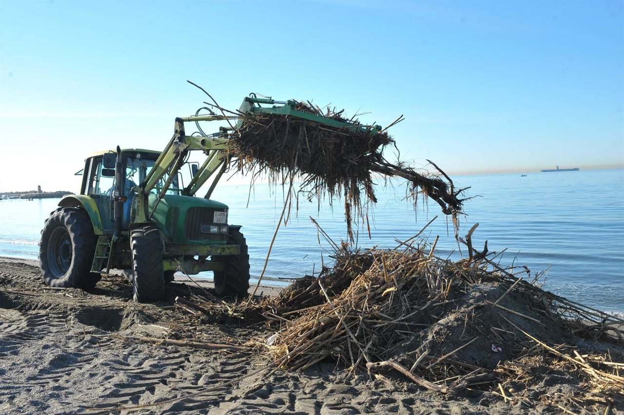 Un camión retira cañas de las playas de Málaga