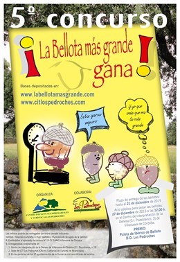 Villanueva de Córdoba acoge el concurso '¡La bellota más grande gana!'