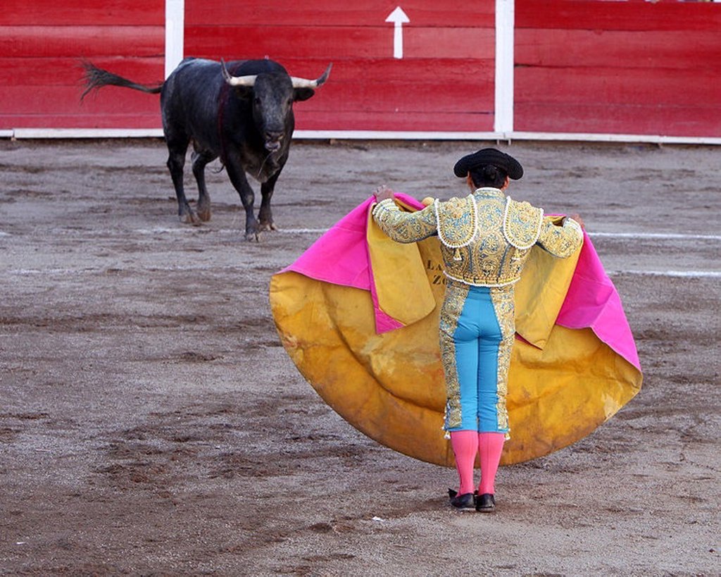 la-fiesta-de-los-toros-ante-el-nuevo-panorama-pol-tico