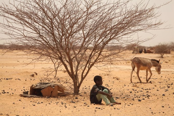 Efectos de El Niño en el Cuerno de África