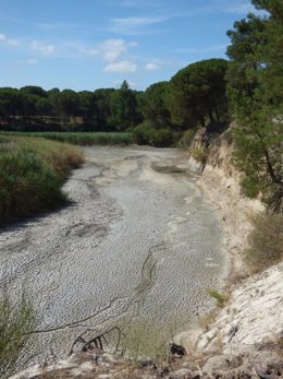 Espisodio de sequía en el Río Cega en la provincia de Valladolid