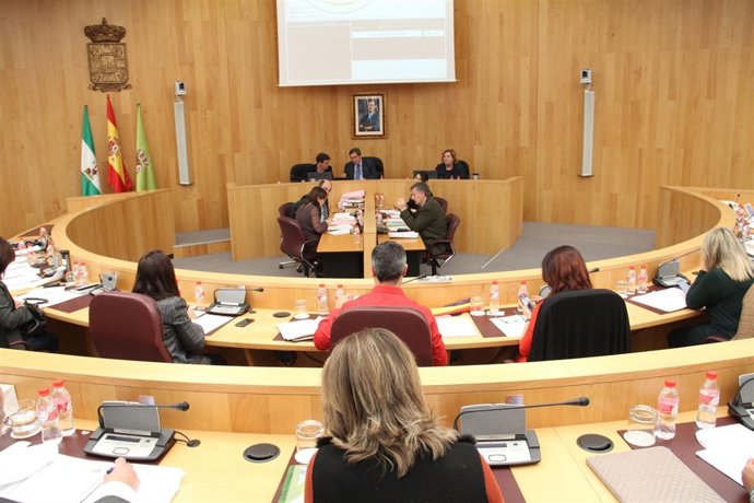 Pleno de la Diputación de Granada