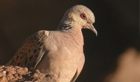 Cooperación y Desarrollo