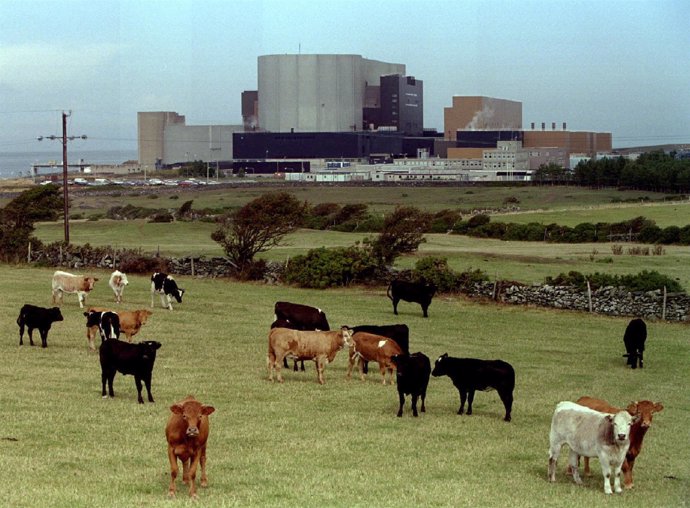 Reactor nuclear de Wylfa 