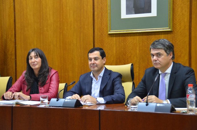 El presidente del PP-A, Juanma Moreno, ante el grupo parlamentario
