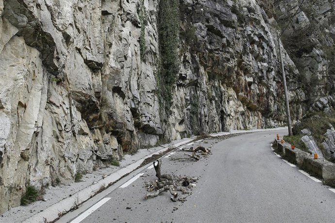 Desprendimientos La Laguna