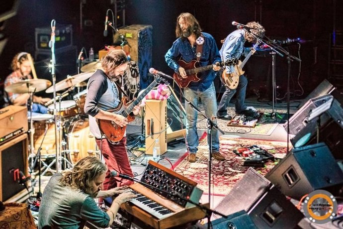 THE CHRIS ROBINSON BROTHERHOOD