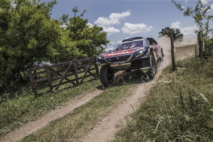 El piloto español Carlos Sainz