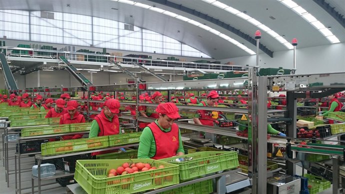 Producción ecológica