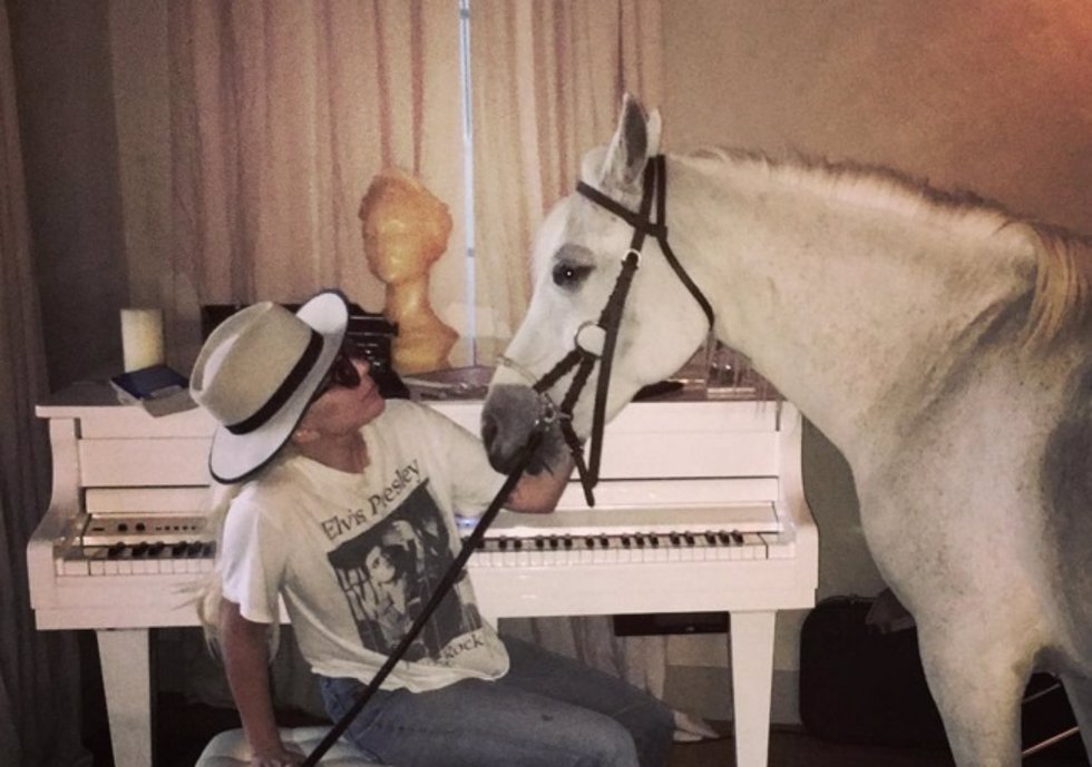 Lady Gaga, ¿buscando la inspiración en su caballo? 