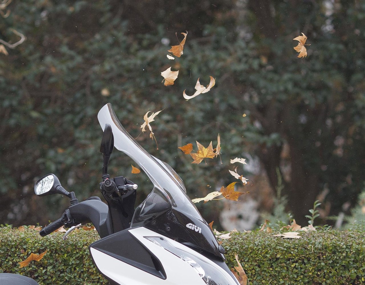 Recursos de viento, temporal, hojas, otoño