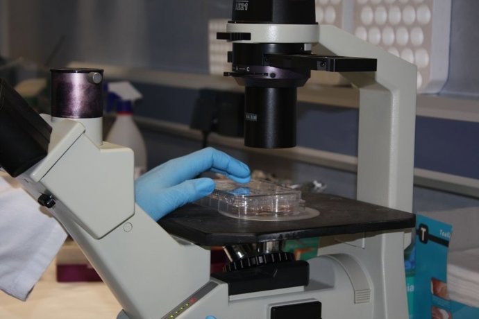 Microscopio, Hospital, Investigación, Sanidad, Salud, Ciencia