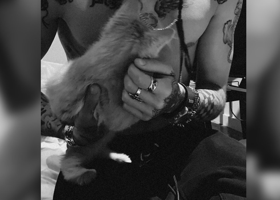 Gigi Hadid comparte la imagen más tierna de Zayn Malik en Instagram