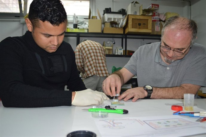 Antonio Fernandez y Juan Pablo Tafur 