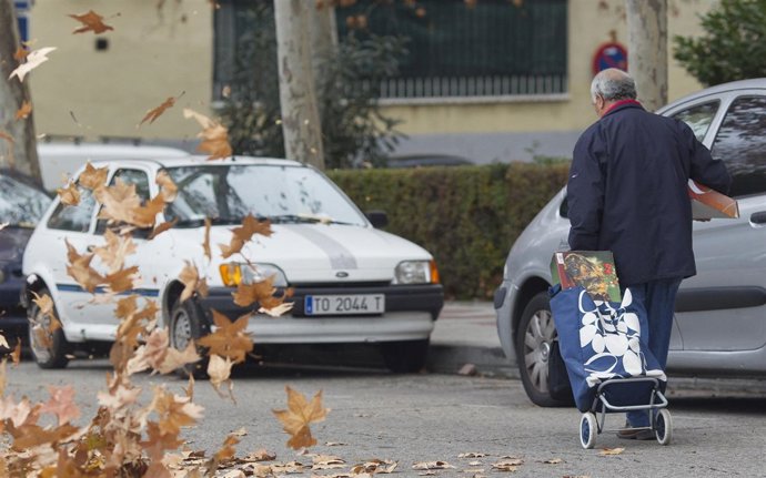 Recursos de viento, temporal, hojas, otoño