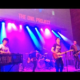 The Owl Project