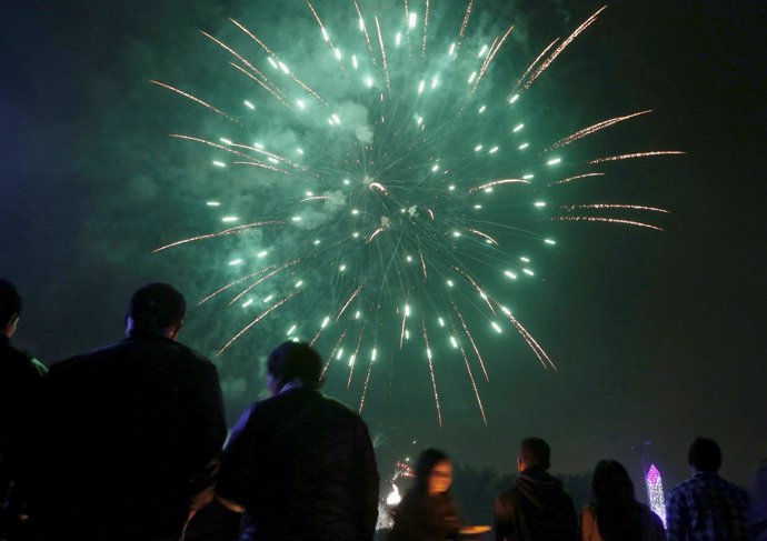Colombian residents watch fireworks at the Park Simon Bolivar in Bogota