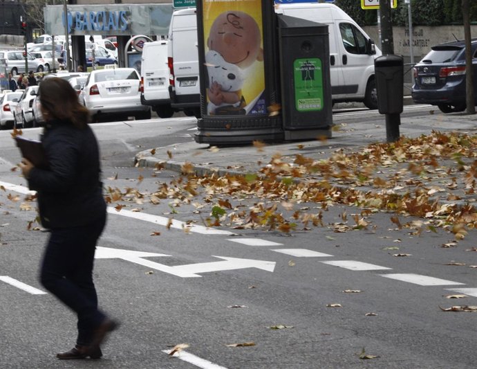 Recursos de viento, temporal, hojas, otoño