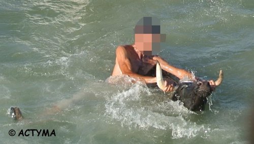 Imagen de bous a la mar remitida por Actyma